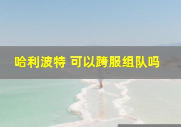 哈利波特 可以跨服组队吗